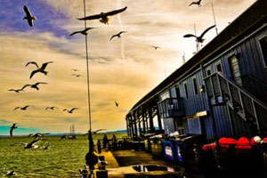 手机版ddos攻击器