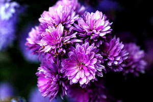 让业务更稳定的攻击网站服务器